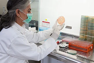 Laboratory professional reviewing a medical sample dish